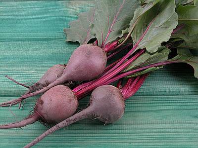 Cooked beets – Polish style (buraczki) Cooked beets – Polish style (buraczki)